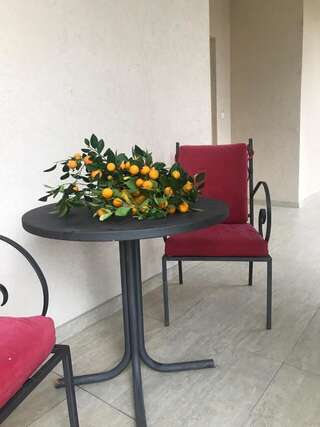 Апартаменты Studio Apartment Vukcevic Подгорица Апартаменты-7