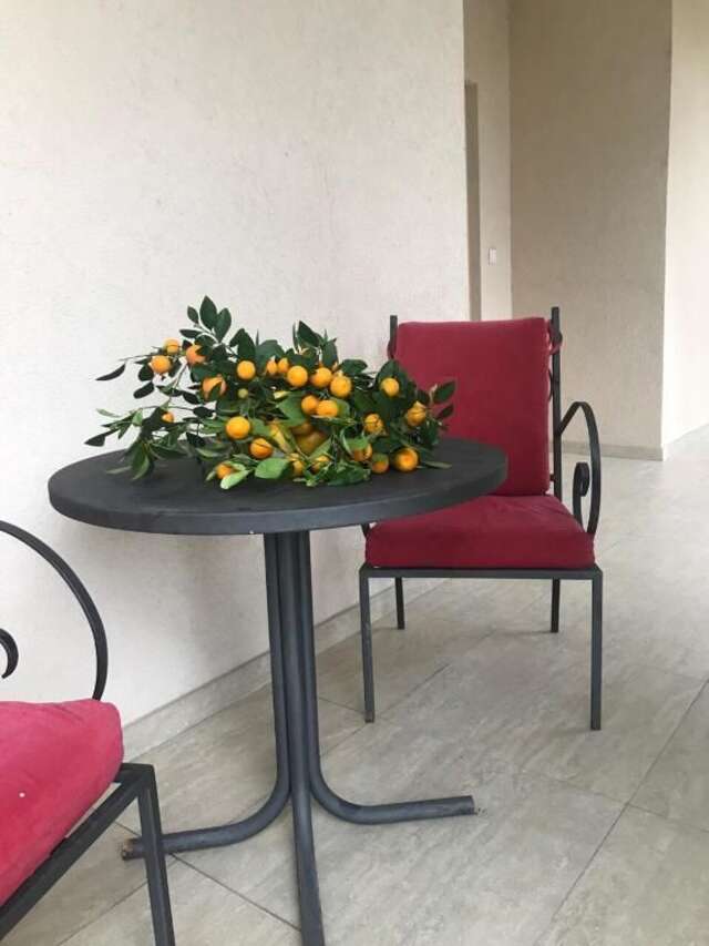 Апартаменты Studio Apartment Vukcevic Подгорица-16